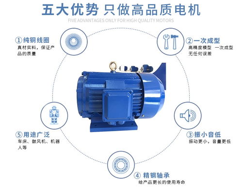 純銅電機(jī)電機(jī)生產(chǎn)廠家電機(jī)廠家廠家