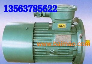 ybb30 4電動(dòng)機(jī) ybb電機(jī)dsb電機(jī)ybj電,ybb30 4電動(dòng)機(jī) ybb電機(jī)dsb電機(jī)ybj電生產(chǎn)廠家,ybb30 4電動(dòng)機(jī) ybb電機(jī)dsb電機(jī)ybj電價(jià)格