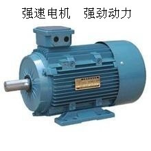 【廠家批發(fā)三相異步電動機(jī)Y180L-6 15KW 系列電機(jī)國標(biāo) 全銅線】價格,廠家,圖片,其他電動機(jī),臺州市強(qiáng)速電機(jī)制造-